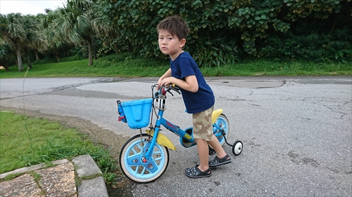 6���E�N���[�v�ނ���ނ���j�I